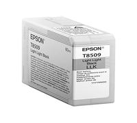 Epson Light Light Black Ink Cartridge C13T850900