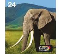 Epson Multipack 6 colori T24 Claria Photo HD in confezione Easy Mail Packaging (EPSON 24 6-COLOUR INK EASYMAIL, ELEPHANT)