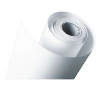 Epson Premium Semigloss Photo 40,6 cm x 30,5 m 255 g S 041743