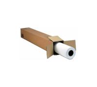 Epson Premium SemiGloss Photo Paper[170], in rotoli da 152, 4cm x 30, 5m (Epson