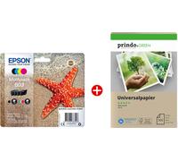 Epson + Prindo Green Recyclingpapier 500 Blatt Value Pack nero / ciano / magenta / giallo Originale 603 MCVP 01