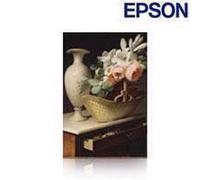 Epson Production Canvas Matte - 1118 mm x 12,2 metriv