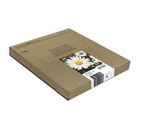 Epson Daisy Multipack Margherita 4 colori Inchiostri Claria Home 18