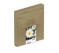 Epson Daisy Multipack Margherita 4 colori Inchiostri Claria Home 18XL