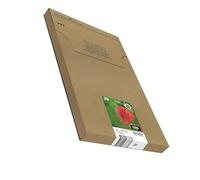 Epson Strawberry Multipack Fragole 4 colori Inchiostri Claria Home 29