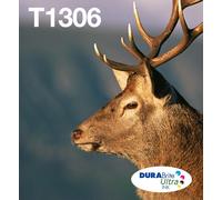Epson Stag Multipack 3 colori T1306 DURABrite Ultra Ink in confezione Easy Mail Packaging (MULTIPACK 3-COLOURS T1306 DURABRITE)