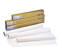 Epson Standard Proofing Paper 240, Carta in Rotoli da 60.96 cm x 30.5 m
