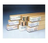Epson Standard Proofing Paper 240, in rotoli da 60, 96cm (24'') x 30, 5m