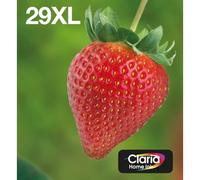 Epson Strawberry Multipack 4-colours 29XL EasyMail (EPSON 29XL EASYMAIL 4 COLOUR