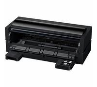 Epson SC-P900 Rullo [C12C935221]
