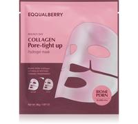 EQQUALBERRY Collagen Pore-Tight Up Hydrogel Mask maschera in tessuto rassodante con texture in gel 30 g