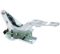 Equal Quality C00092 Cerniera Cofano Anteriore Sinistro