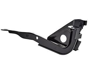 Equal Quality C00193 Cerniera Cofano Anteriore Destro