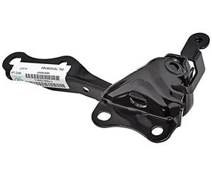 Equal Quality C00194 Cerniera Cofano Anteriore Sinistro