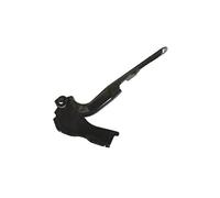 Equal Quality C00238 Cerniera Cofano Destro