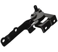 Equal Quality C00250 Cerniera Cofano Anteriore Destro