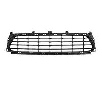 Equal Quality G2950 Griglia Anteriore Paraurti Centrale