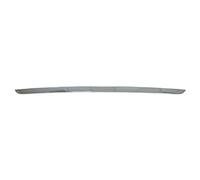 Equal Quality M1522 Modanatura PARAURTI Posteriore Centrale Cromato X5 (F15) dal 2014
