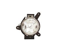 Equal Quality Fendinebbia Pf1209D