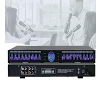 Equalizzatore audio a 22 bande con riduzione automatica intelligente del rumore, 10 effetti preimpostati, basso/medio/alto regolabile per studi di registrazione professionali, esibizioni di banda dal