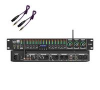 Equalizzatore audio digitale professionale con Bluetooth USB, anti-ululamento, regolazione indipendente per microfono/musica/riverbero per conferenze, palcoscenico, matrimonio