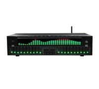 Equalizzatore digitale a 31 bande - Equalizzatore grafico audio stereo con analizzatore di spettro LED e riduzione del rumore, include 12 schemi ritmici per uso professionale in studio di