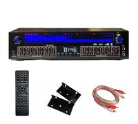 Equalizzatore digitale a 31 bande, equalizzatore grafico stereo, doppia interfaccia per microfono e interfaccia USB, 12 pattern ritmici, doppia accordatura indipendente a 10 segmenti, riduzione del