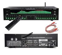 Equalizzatore digitale a 31 bande, grafica stereo, EQ, due 10 segmenti di sintonizzazione indipendente, analizzatore di spettro musicale LED, 12 modelli di ritmo, riduzione del rumore, per studio di