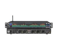 Equalizzatore digitale professionale a 31 bande, analizzatore di spettro audio, equalizzatori stereo, regolazione bassi/medi/acuti, controllo sincrono a doppio canale