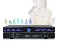 Equalizzatore grafico a doppio canale con 22 bande, 10 effetti preimpostati, regolazione bassa/media/alta, riduzione automatica del rumore, supporto rack 1U per studi di registrazione professionali