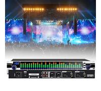 Equalizzatore grafico stereo a 31 bande - EQ audio digitale con display a spettro LED, 10 effetti preimpostati, chip di elaborazione DSP e riduzione automatica del rumore per studio di registrazione