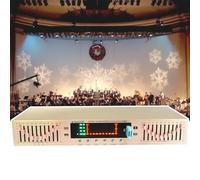 Equalizzatore HiFi Home bilanciato, equalizzatore grafico a 10 bande doppio, gruppi sinistro/destro (controllo indipendente), BT 4.0 + unità flash USB, interfacce multiple,Gold