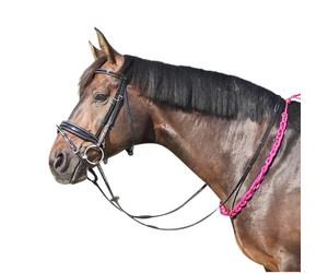 EQuest Balance Reins Pro: rende più facile per il cavallo trovare l'eq