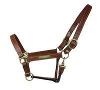 EQuest Cavezza Cuoio Inscribe per Cavalli,Sfondo - Cognac,L - Full / Sangue