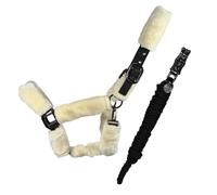 Equest Halter Comfort Per Cavalli Con Guinzaglio, Nero - M Cob/Thoroughbred Set