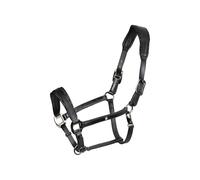 EQUESTRO taglia COB Cavezza in cuoio con piping glitterato