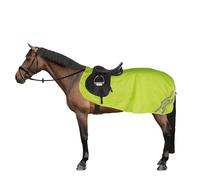 Equi-FlectorMaglia a Rete Lenzuolo per Esercizio del Cavallo (ER1099)