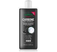 Equilibra Shampoo Carbone Attivo 250ml
