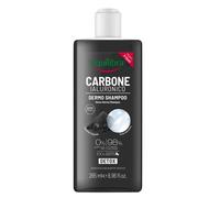 EQUILIBRA Carbone Detox Shampoo Purificante per Capelli con Carbone Attivo 265ml
