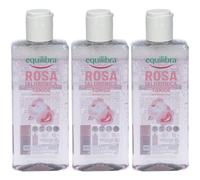 Equilibra Rosa Ialuronica Tonico Viso 3x228 g