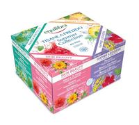 equilibra Tisane a Freddo Summer Collection 40 x 2 g