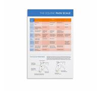 Equine Anatomy Chart Poster Horse Body Guide Educational Canvas Wall Art for Stable Office Tack Room Decor(Unframed,08x12inch(20x30cm))