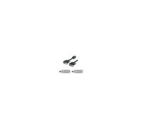 Equip - Cavo per schermo - DVI-D (M) - DVI-D (M) -…
