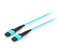 Equip Trunk Fibre-Optic Patch Cable MTP 50/125mμ 5.00 m Multimode OM4 Turquoise
