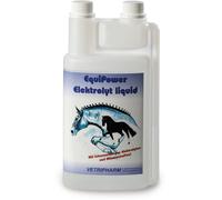EquiPower Elettroliti in Forma Liquida - 1 L