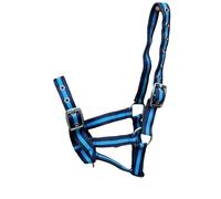 Equipride CAVETTA per Puledro Multi Regolabile in 10 INCREDIBILI Colori (Navy/B.Blu)