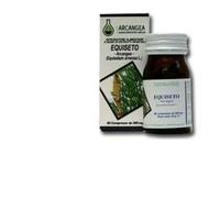 EQUISETO 60CPS 500MG