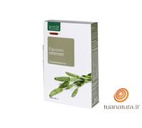 Equiseto BIO 20 Ampolle Ligne De Plantes