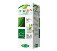 EQUISETO FRONDE STE 100ML TM