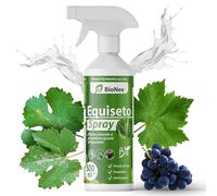 Equiseto Spray 500 ml | Pronto all’Uso | Protettivo Naturale Preventivo | Difesa contro Oidio e Peronospora | Per Orti, Frutteti e Colture Biologiche